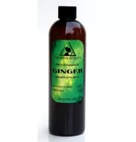 Ginger essential oil aromatherapy 100% pure natural 12 oz