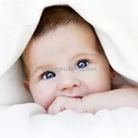 Baby Powder Fragancia Aceite Orgánico Premium Grade Fresh 100% puro 7 lb