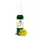 Helichrysum Hydrosol
