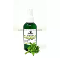 Hydrolat de Menthe Poivrée Eau Florale Bio Pure Naturelle 4 oz