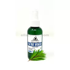Hidrosol de árbol de té Agua floral orgánica pura natural 4 oz