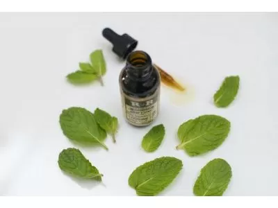 Révéler les secrets de l'utilisation de l'huile de menthe poivrée