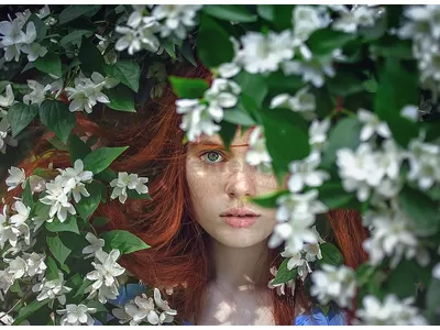 Essential oils for face