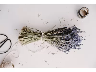 Huile capillaire à la lavande: propriétés et applications