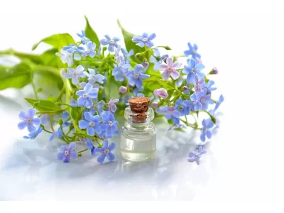 10 datos sobre aceites cosméticos