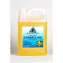 Aceite de semilla de canola orgánico refinado prensado en frío prima fresca prima 100% pura 7 lb