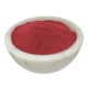 Polvo de fruta de arándano