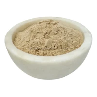 Carrot Juice Organic Botanical DIY Powder 100% Pure Natural 1 oz