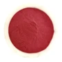 Extracto orgánico de fruta del dragón rojo en polvo, botánico, 100 % puro y natural 1 oz