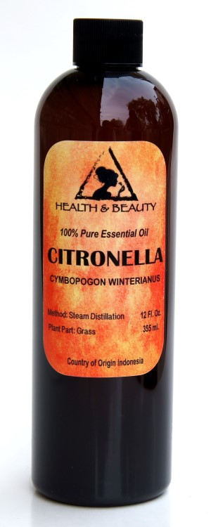 Citronella essential oil aromatherapy 100% pure natural 12 oz buy